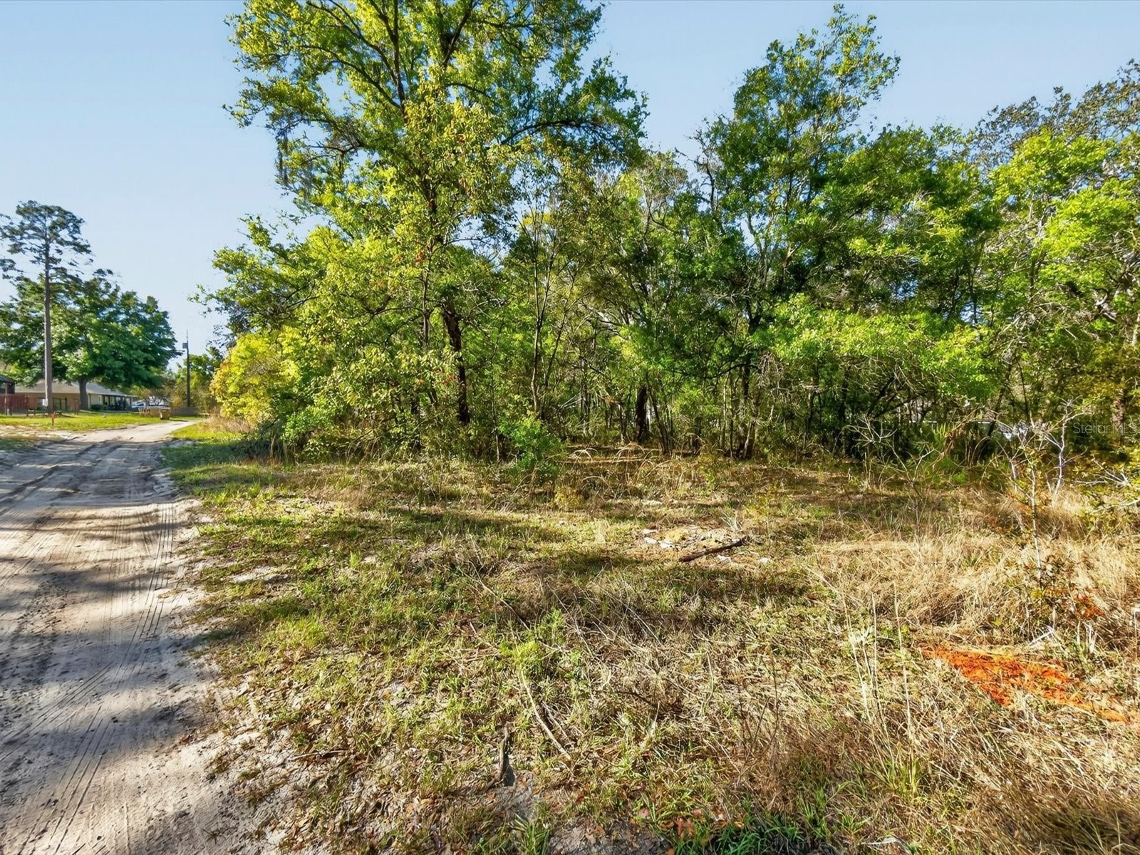 Oakridge Drive Lady Lake FL 32159 O6393841 image4