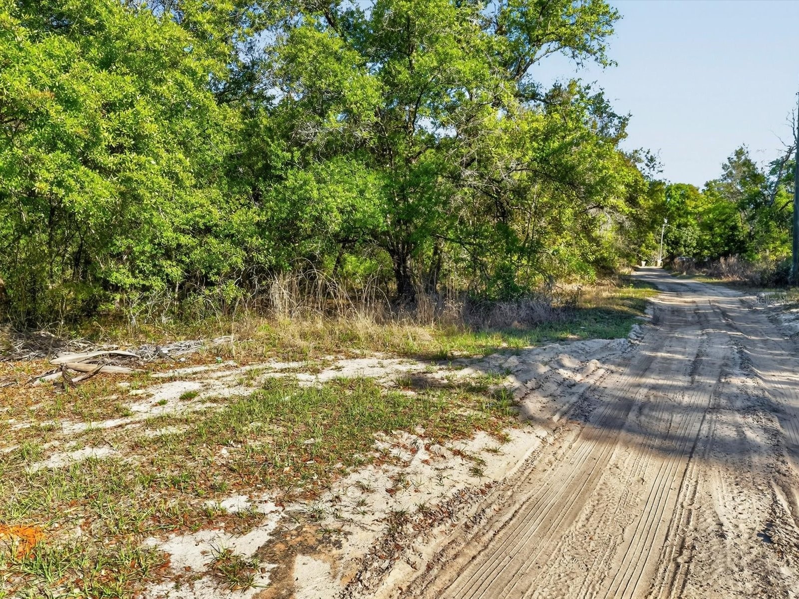 Oakridge Drive Lady Lake FL 32159 O6393841 image5