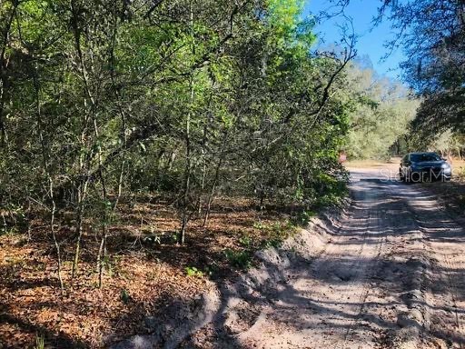 Oakridge Drive Lady Lake FL 32159 S5143832 image1