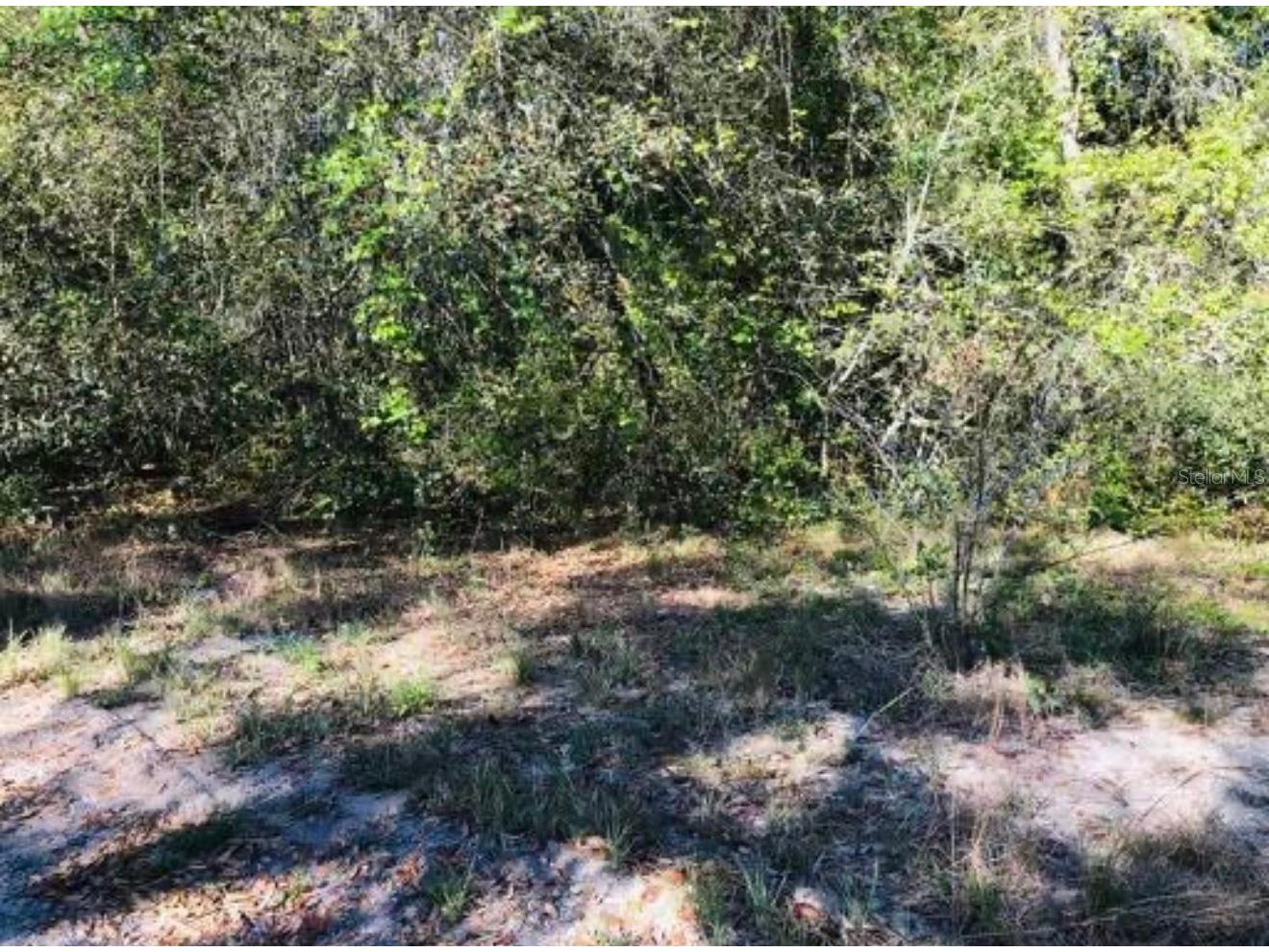 Oakridge Drive Lady Lake FL 32159 S5143832 image2