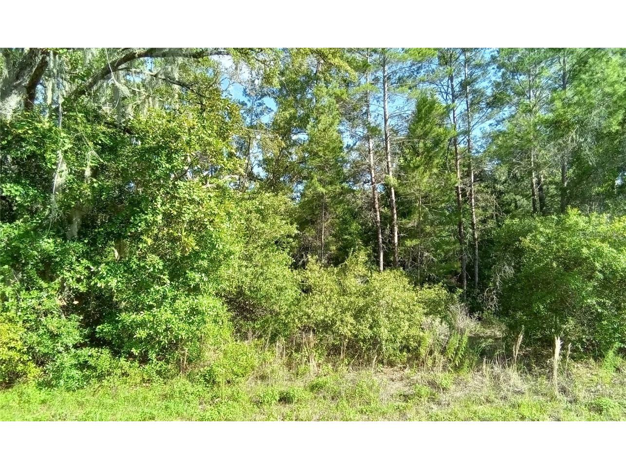 Oaks Pass Loop Ocala FL 34472 OM684645 image1