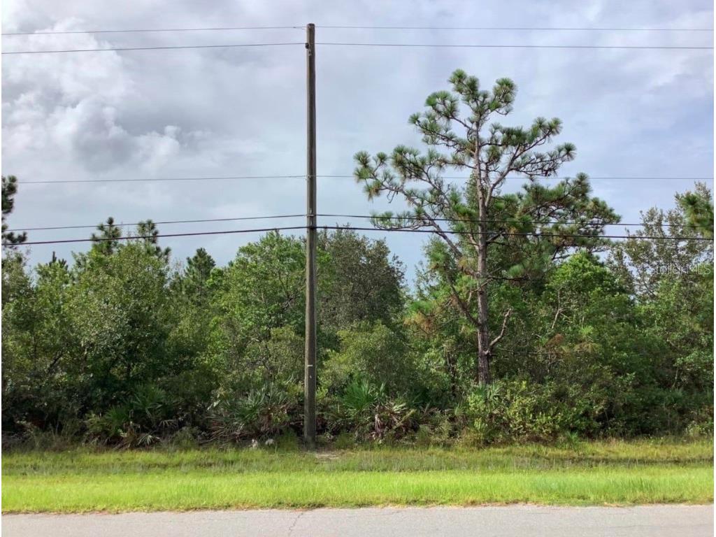 Oberly Parkway Orlando FL 32833 O6314273 image1