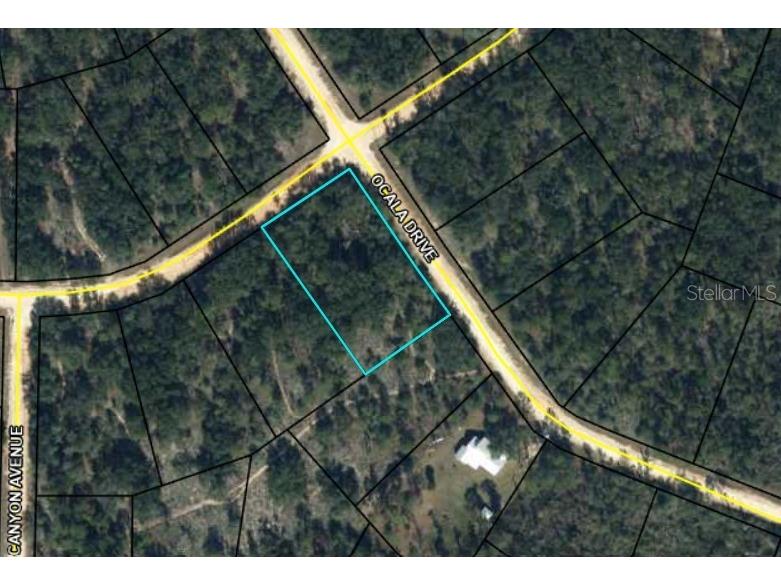 Ocala Drive Alford FL 32420 P4936278 image1