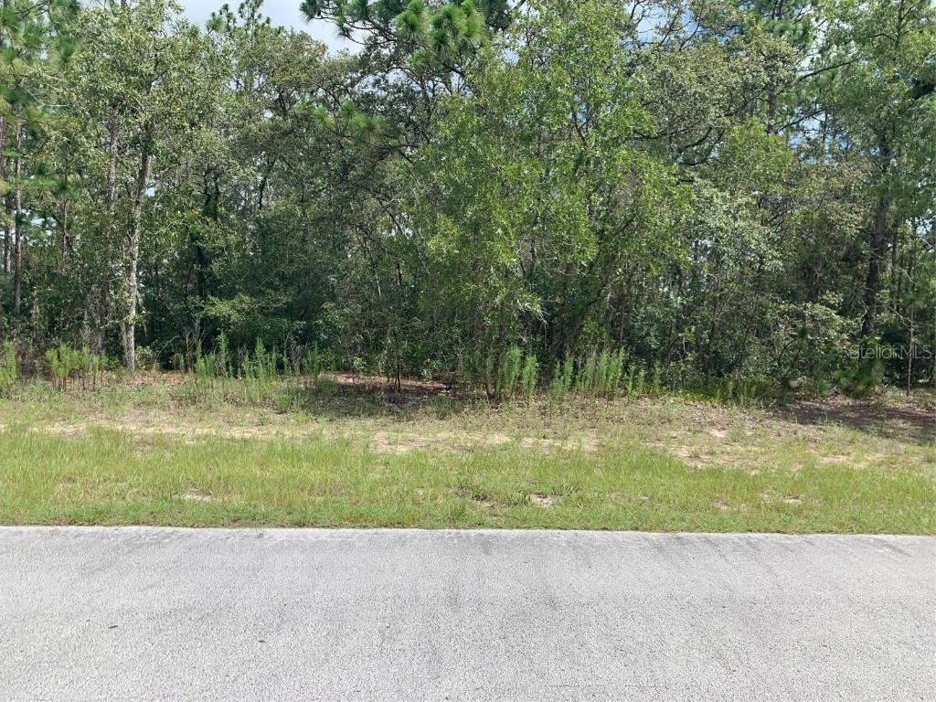  Ocala FL 34473 OM661715 image1