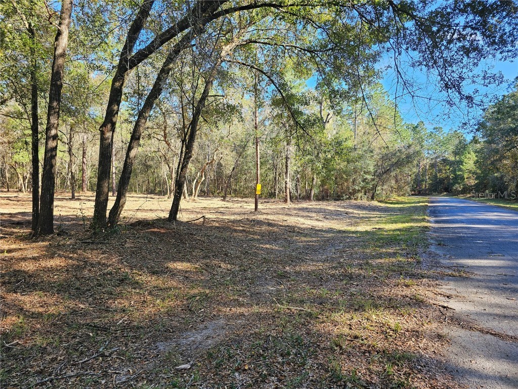  Ocala FL 34473 OM669060 image1