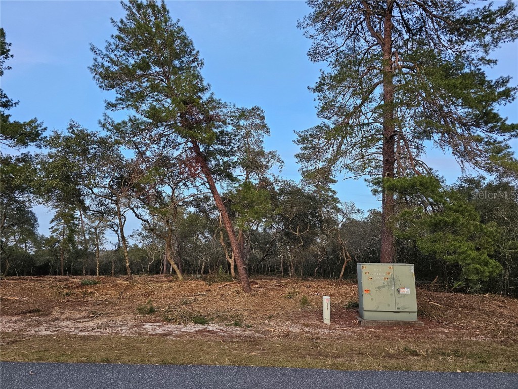  Ocala FL 34473 OM669834 image1