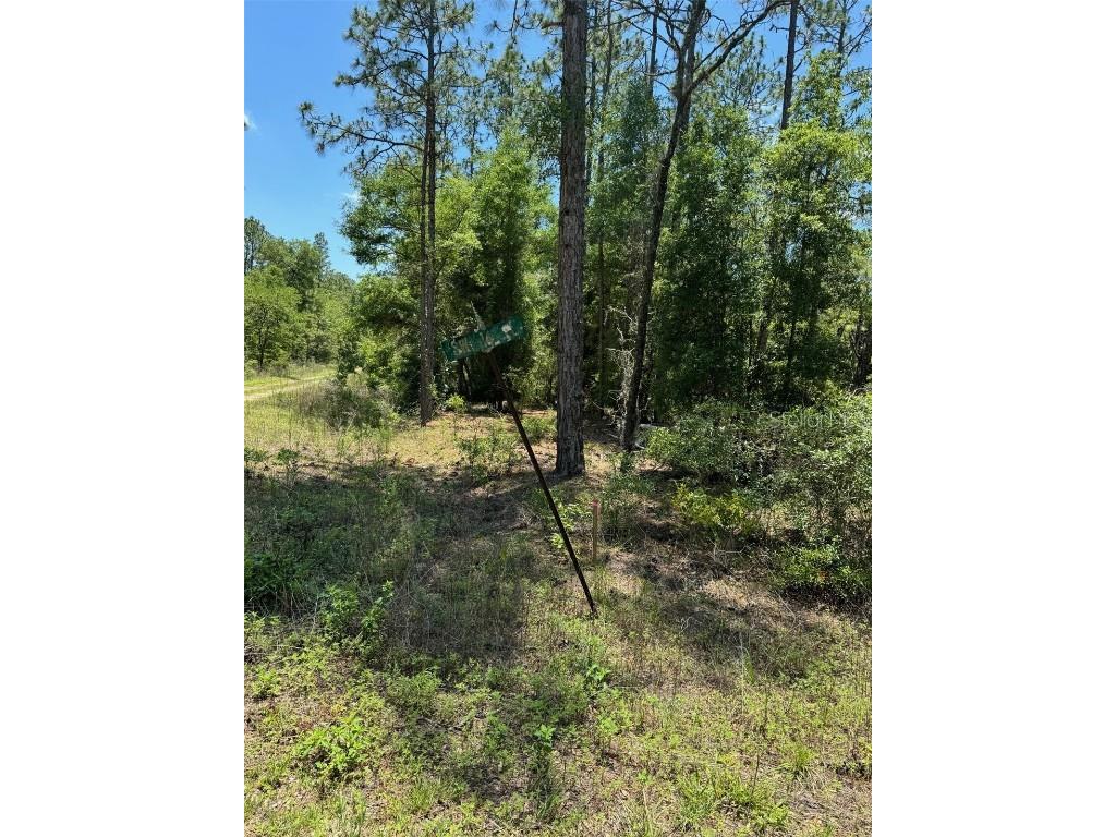  Ocala FL 34481 OM679754 image1