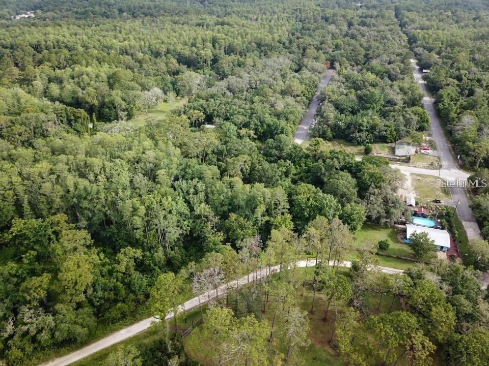 Ocasta Ave New Port Richey FL 34654 W7861503 image1