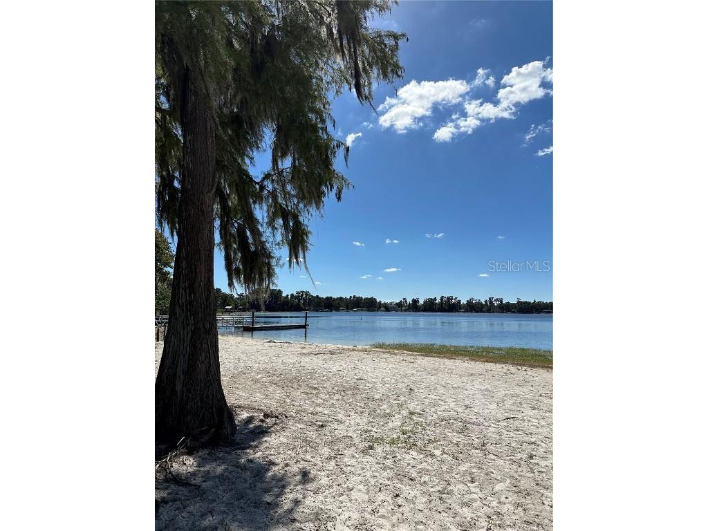 Ocasta Avenue New Port Richey FL 34654 TB8441719 image16