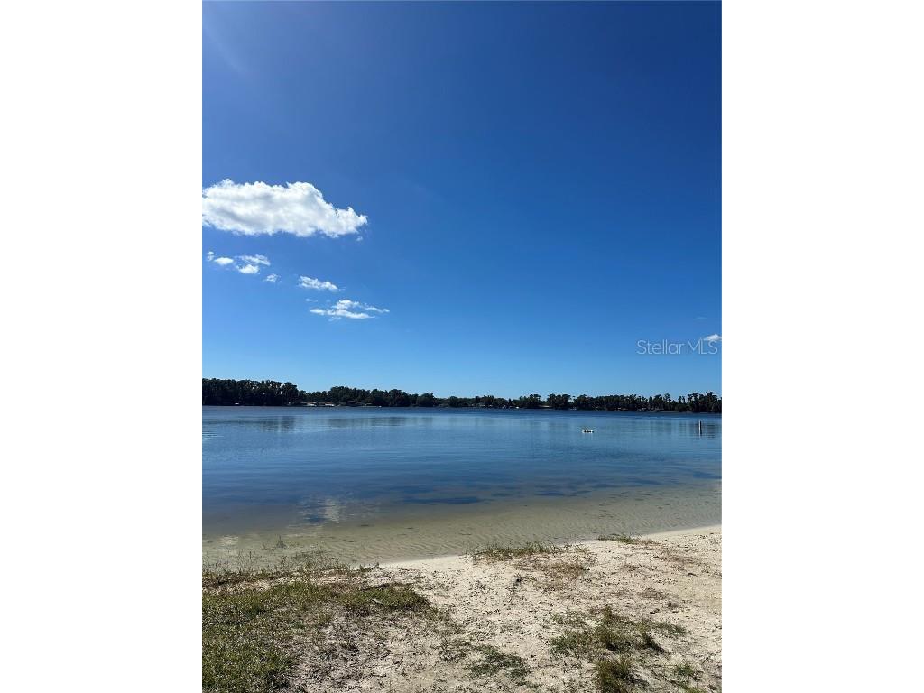 Ocasta Avenue New Port Richey FL 34654 TB8441719 image19