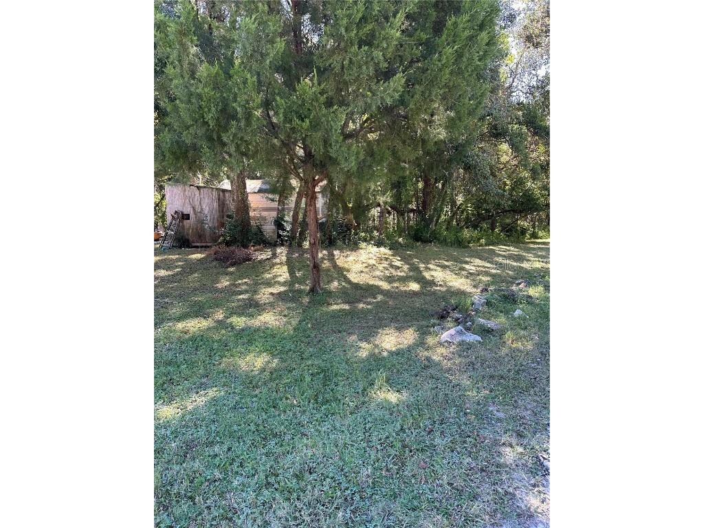 Ocasta Avenue New Port Richey FL 34654 TB8441719 image2
