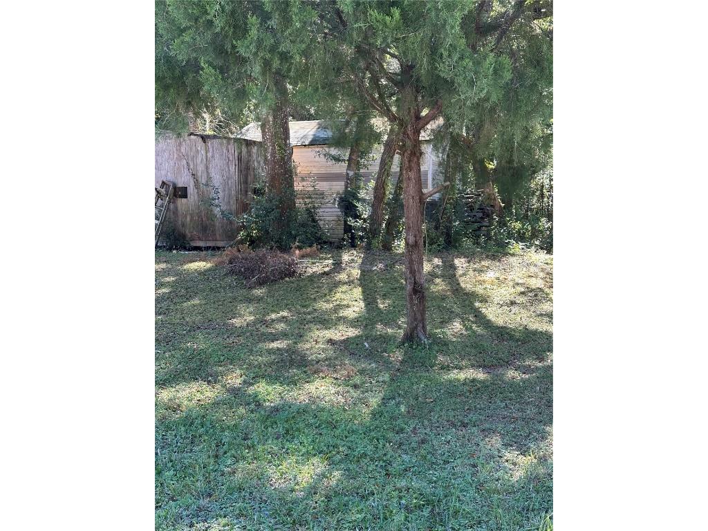 Ocasta Avenue New Port Richey FL 34654 TB8441719 image3