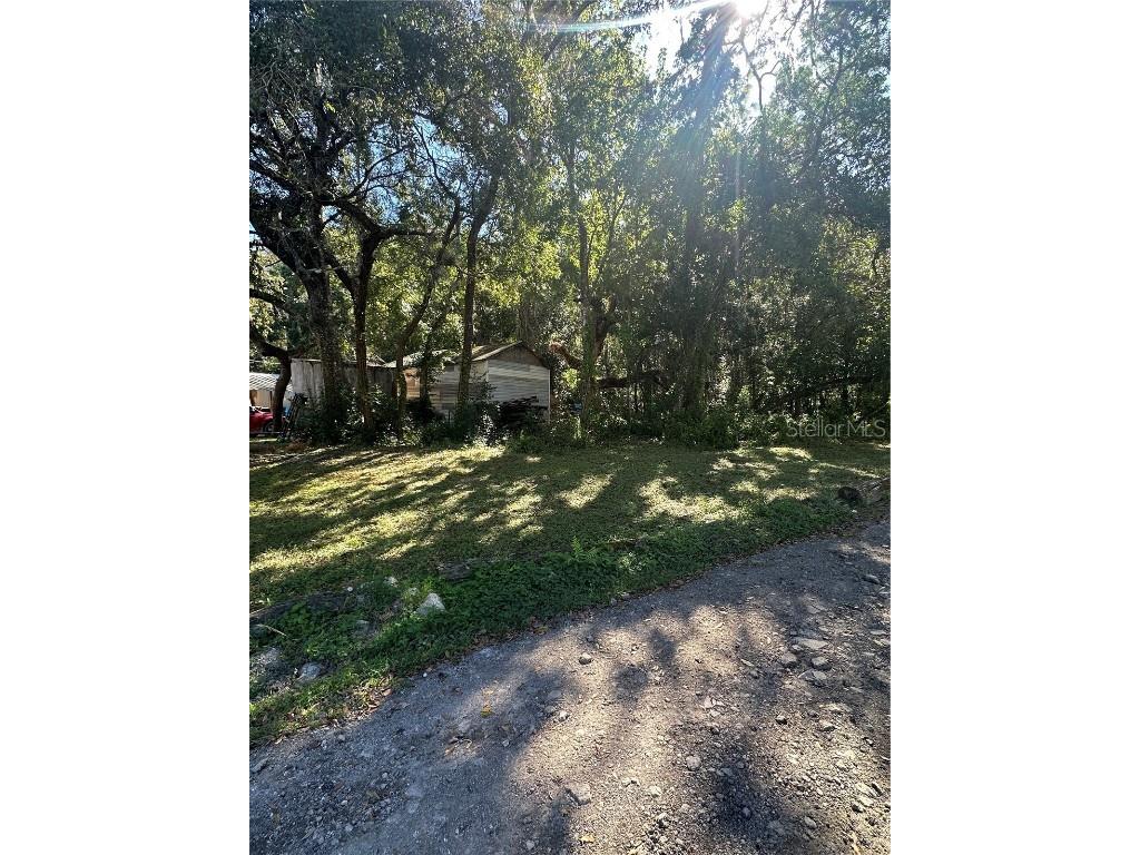 Ocasta Avenue New Port Richey FL 34654 TB8441719 image6