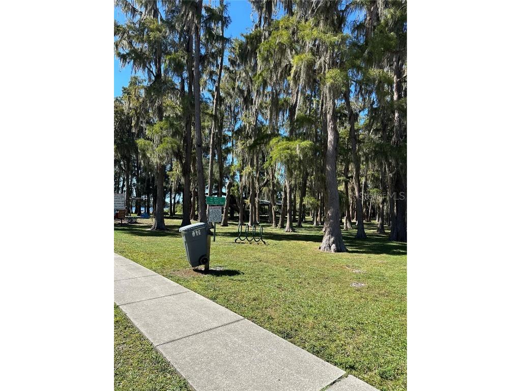 Ocasta Avenue New Port Richey FL 34654 TB8441719 image9