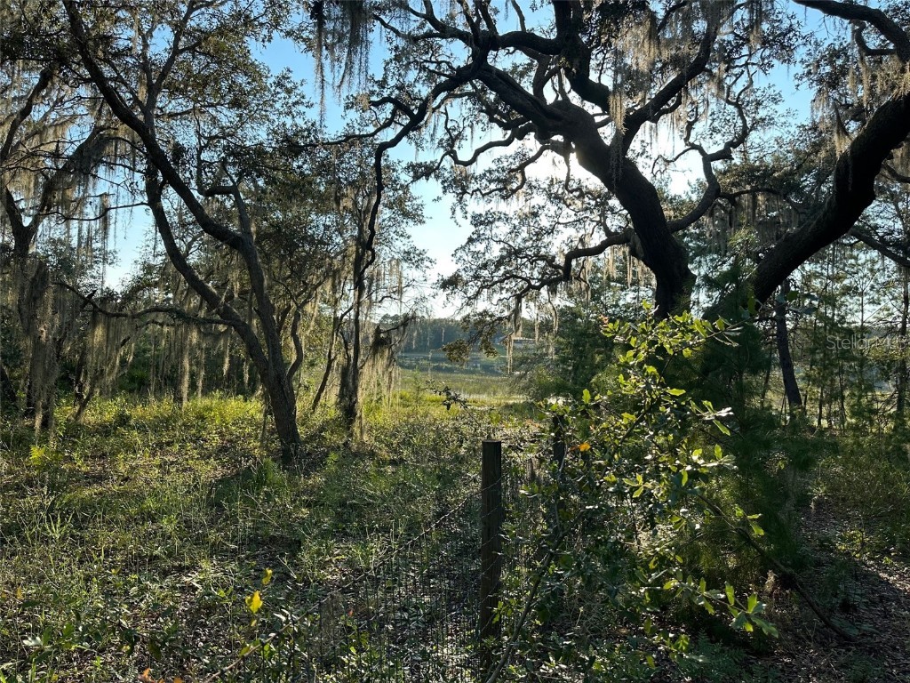  Ocklawaha FL 32179 J967533 image1