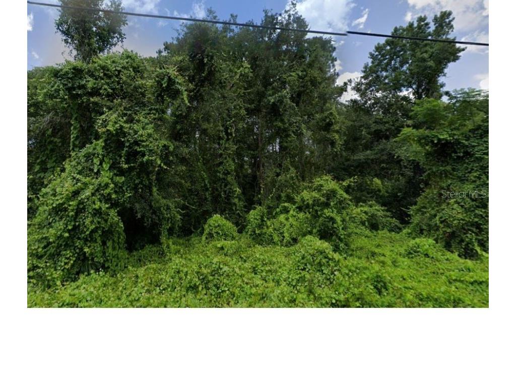 Oconee Boulevard New Port Richey FL 34654 W7879191 image1