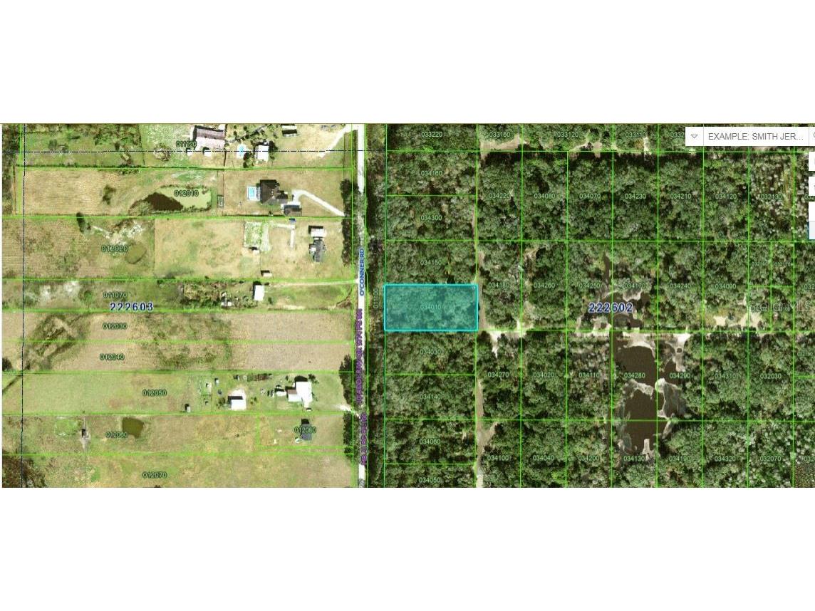 Oconner Road Kathleen FL 33849 O6228316 image1