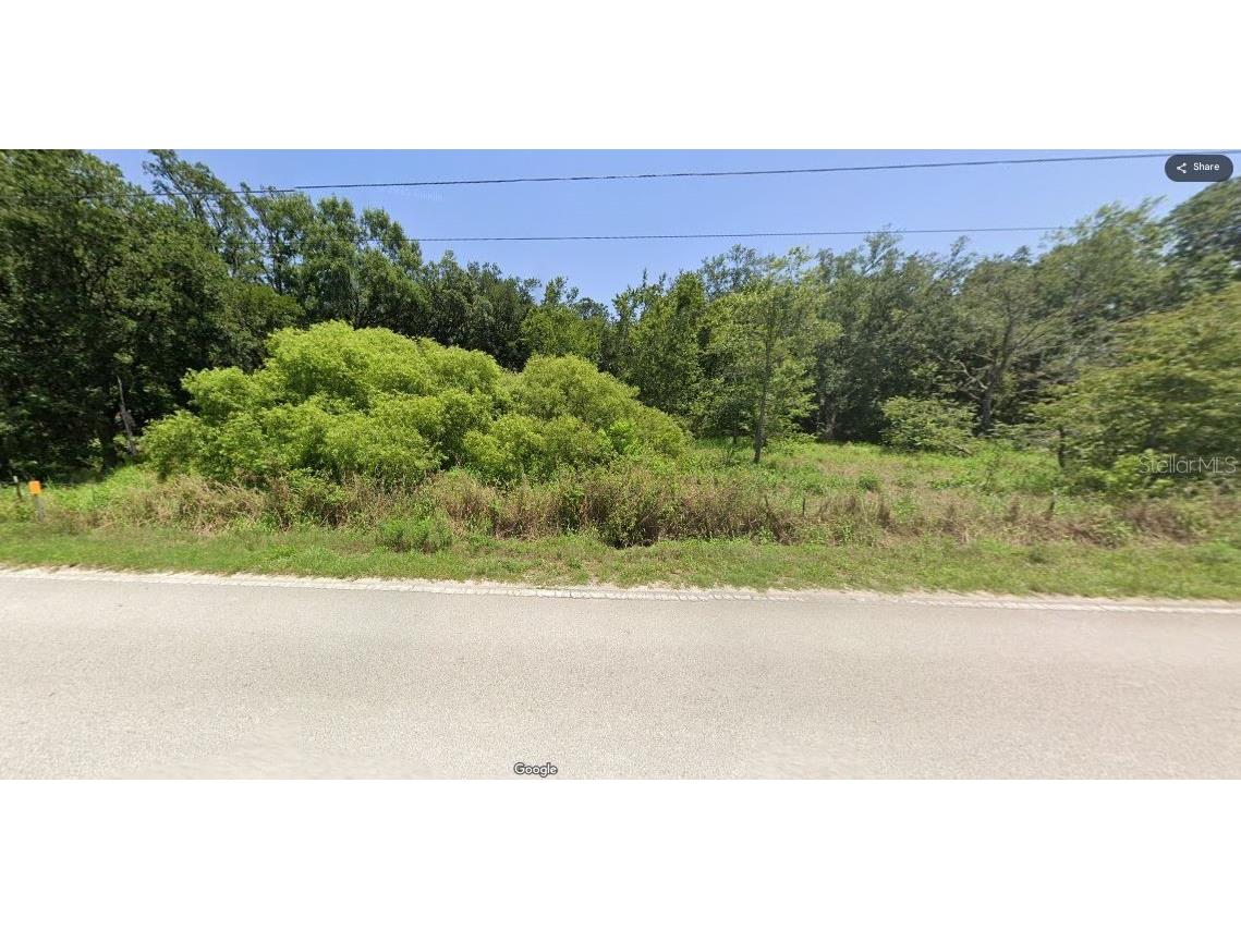 Oconner Road Kathleen FL 33849 O6228316 image2