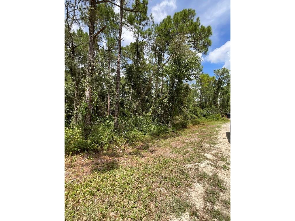 Octavia Lane Webster FL 33597 G5060178 image1