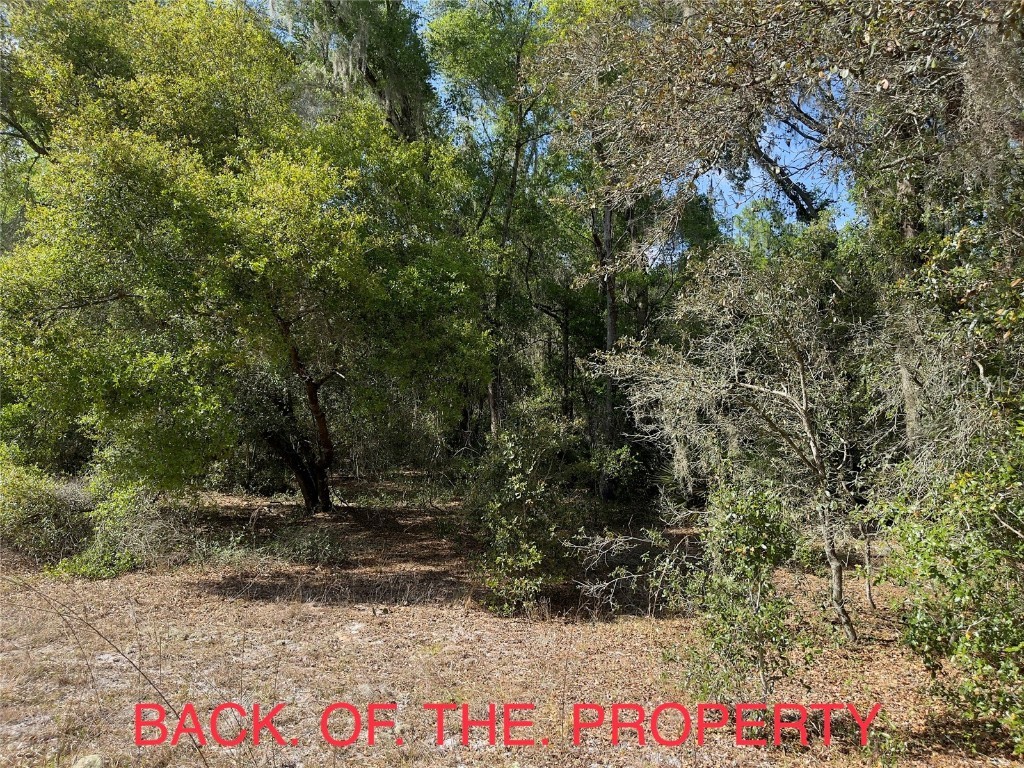 Octavia Lane Webster FL 33597 G5066637 image1