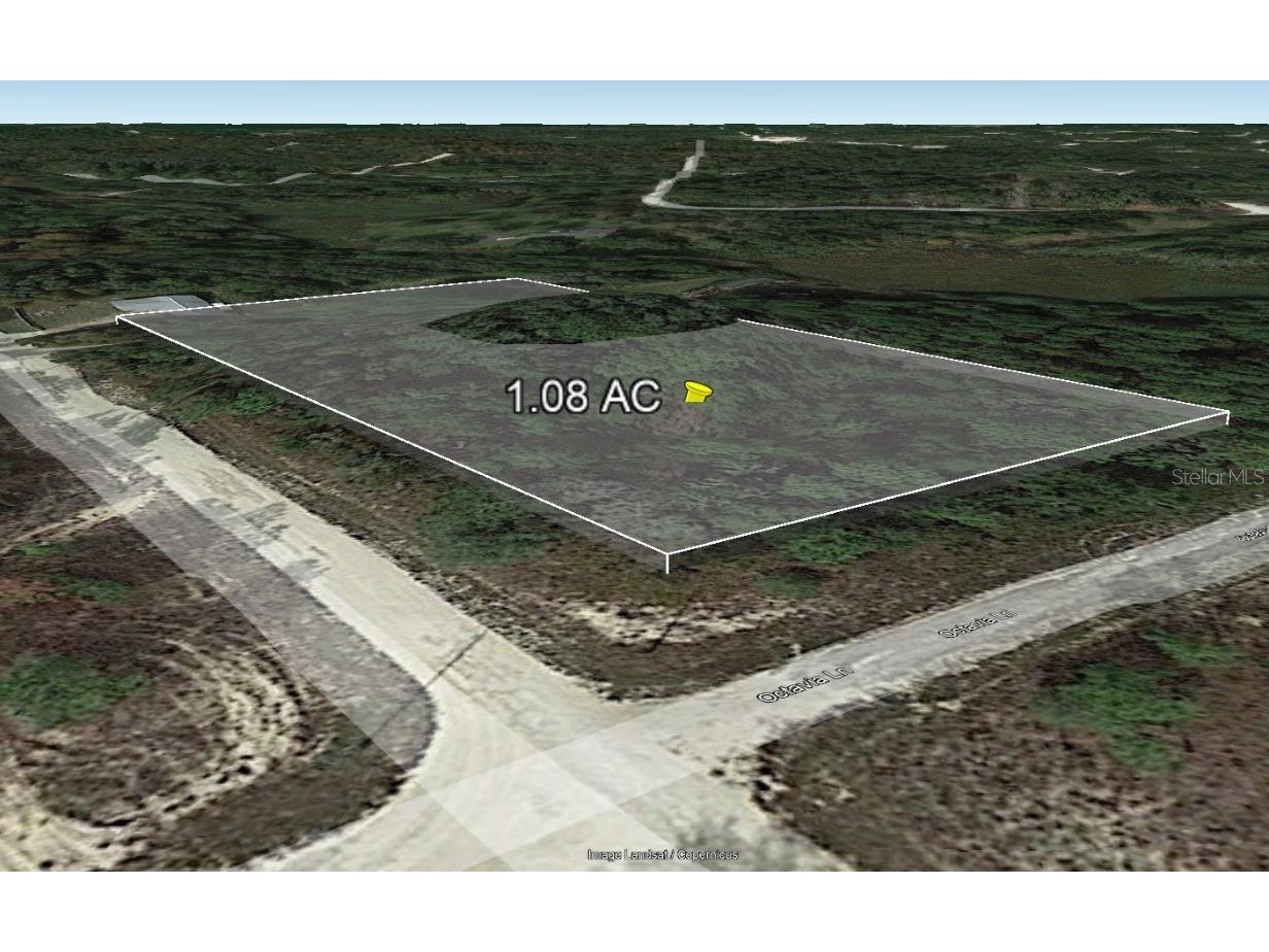 Octavia Lane Webster FL 33597 T3479357 image1