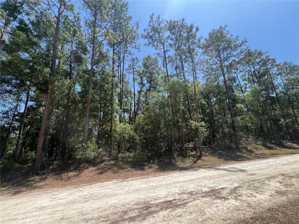 Octavia Lane Webster FL 33597 TB8380143 image1