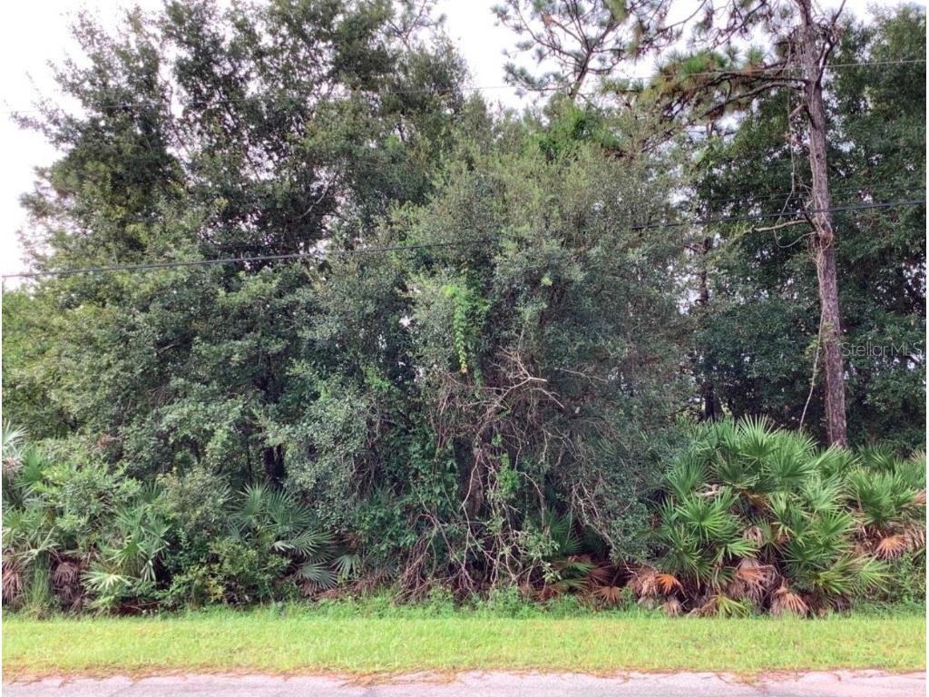 Odham Street Orlando FL 32833 O6314032 image1