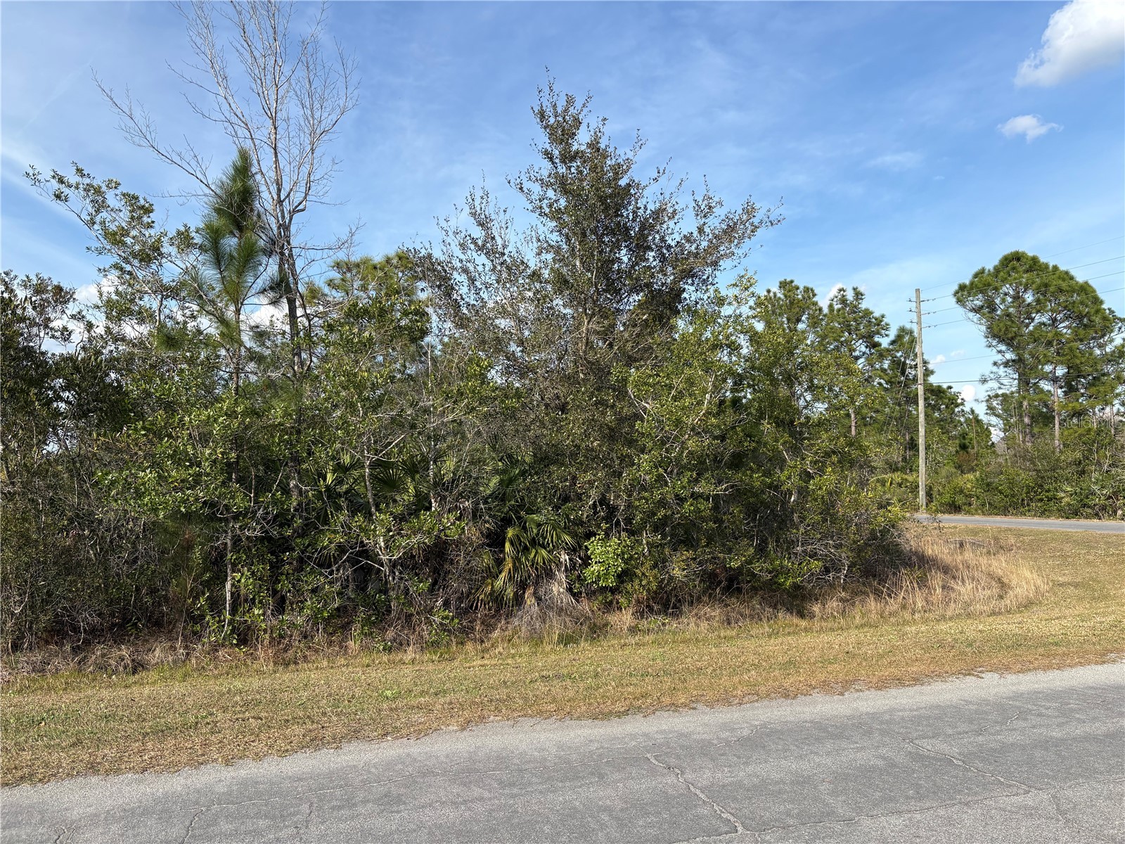 Odham Street Orlando FL 32833 O6384412 image2