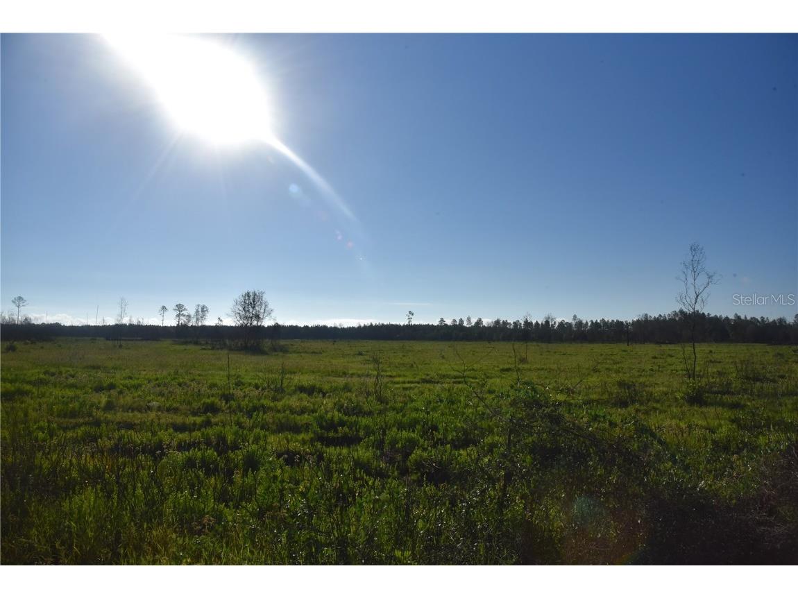 Off Hwy 225 Gainesville FL 32609 OM698253 image10