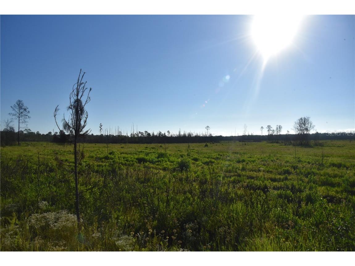 Off Hwy 225 Gainesville FL 32609 OM698253 image11