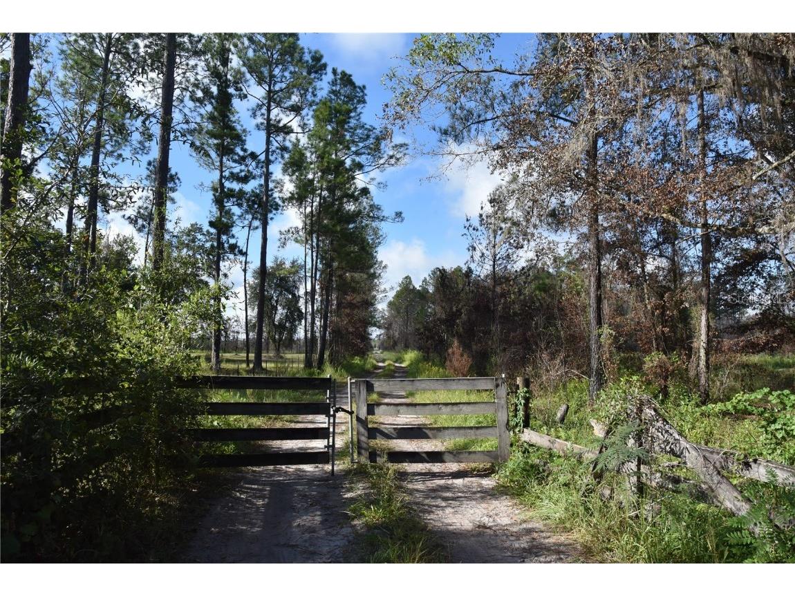 Off Hwy 225 Gainesville FL 32609 OM698253 image12