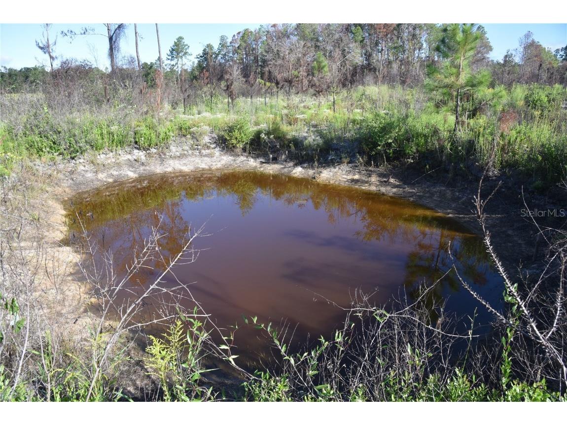 Off Hwy 225 Gainesville FL 32609 OM698253 image14