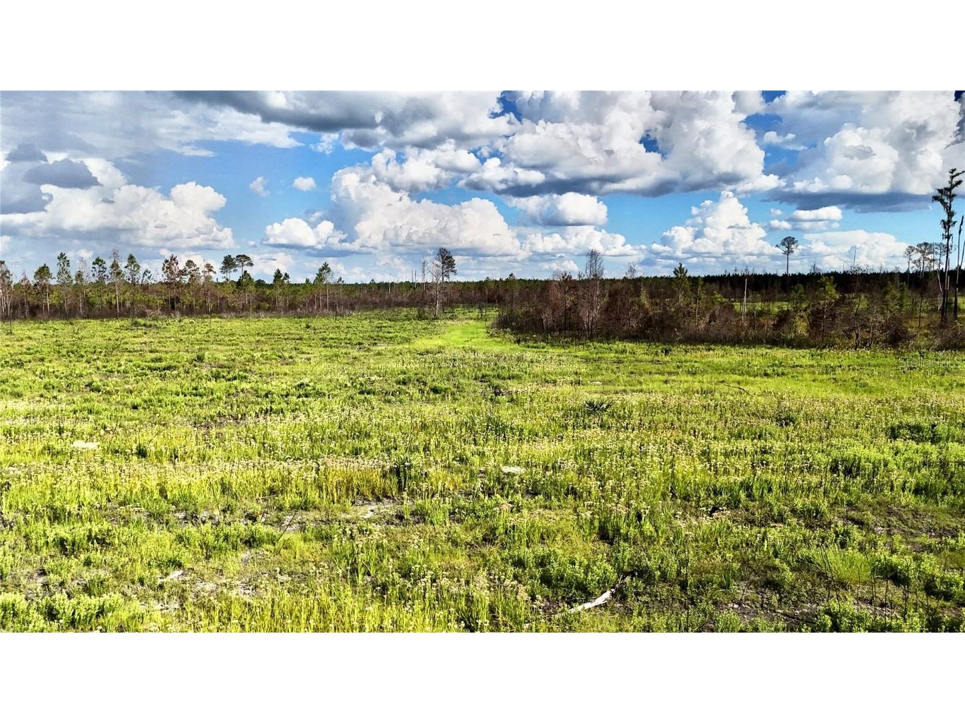 Off Hwy 225 Gainesville FL 32609 OM698253 image18