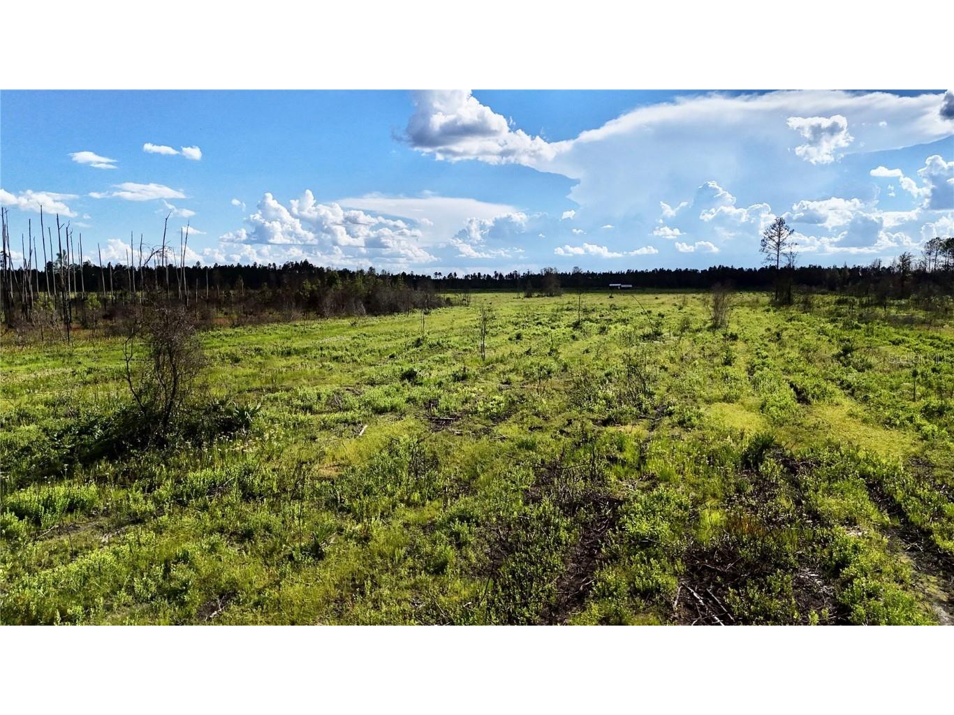 Off Hwy 225 Gainesville FL 32609 OM698253 image19