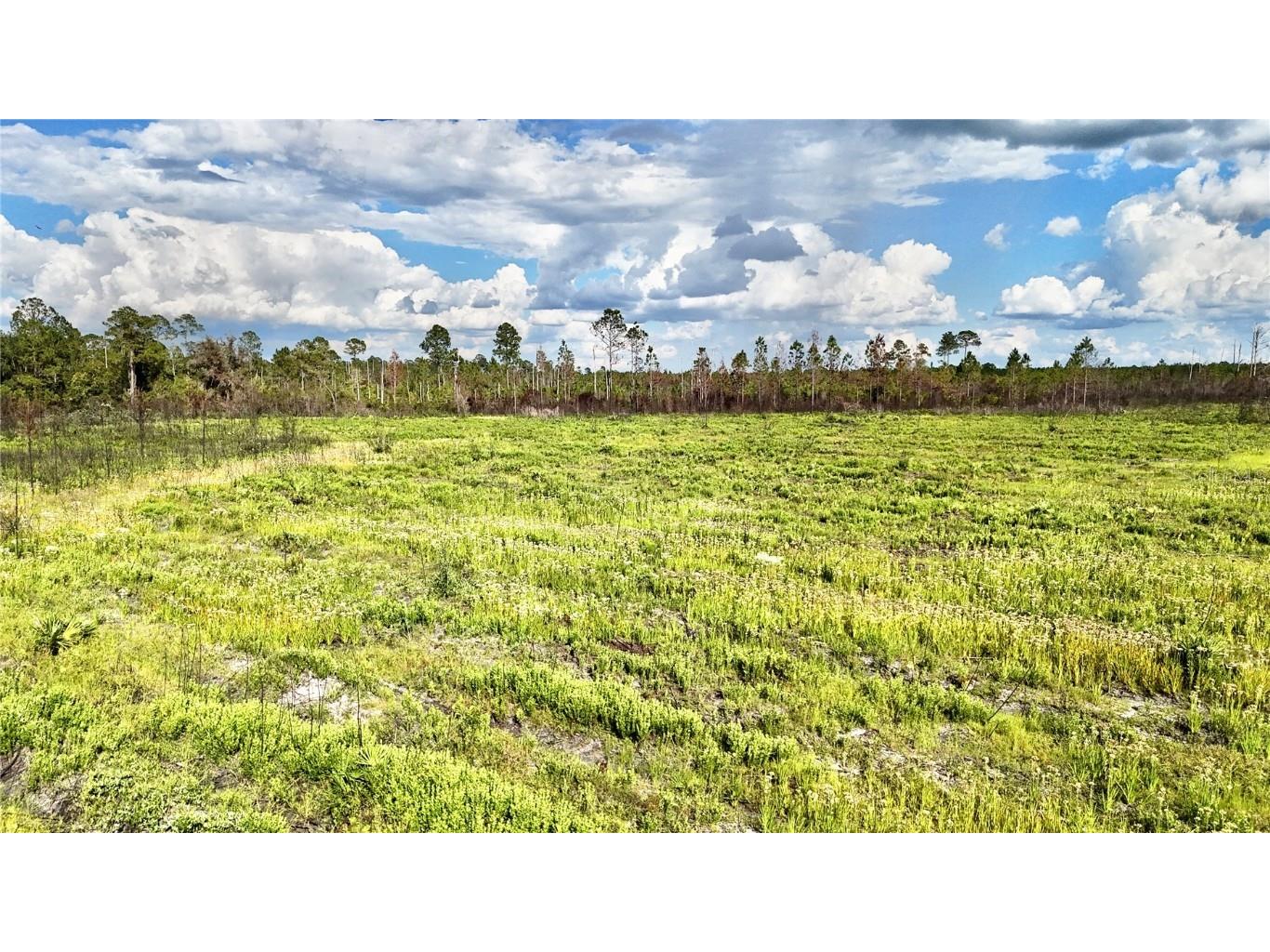 Off Hwy 225 Gainesville FL 32609 OM698253 image20