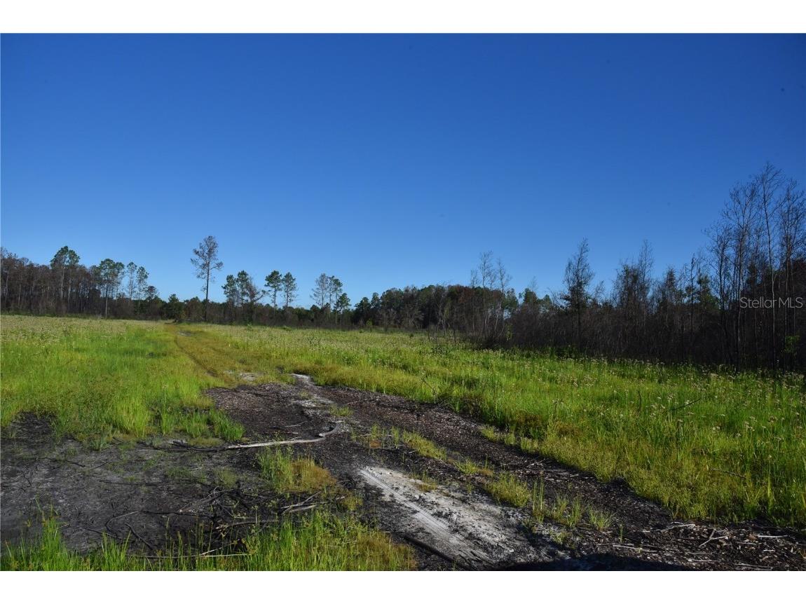 Off Hwy 225 Gainesville FL 32609 OM698253 image21