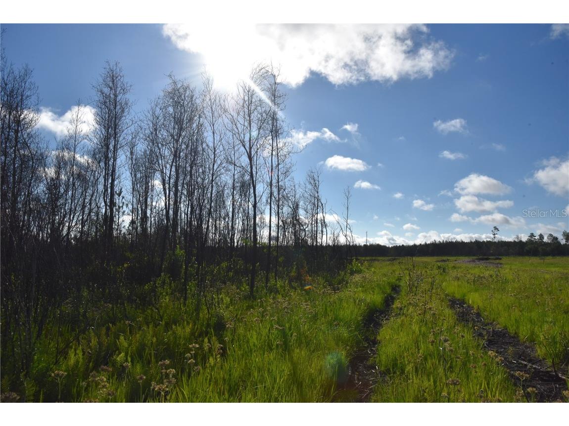 Off Hwy 225 Gainesville FL 32609 OM698253 image22