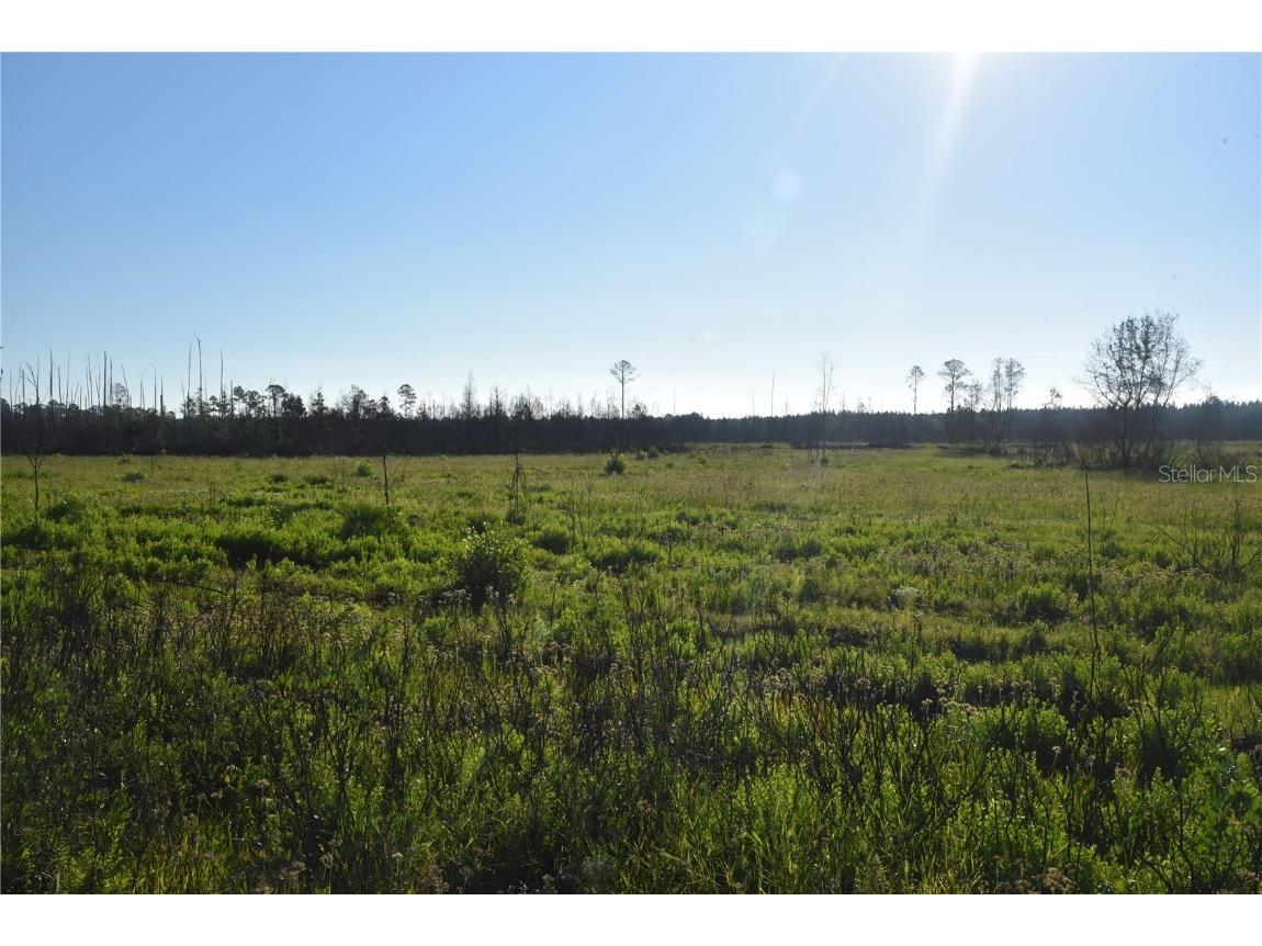 Off Hwy 225 Gainesville FL 32609 OM698253 image23