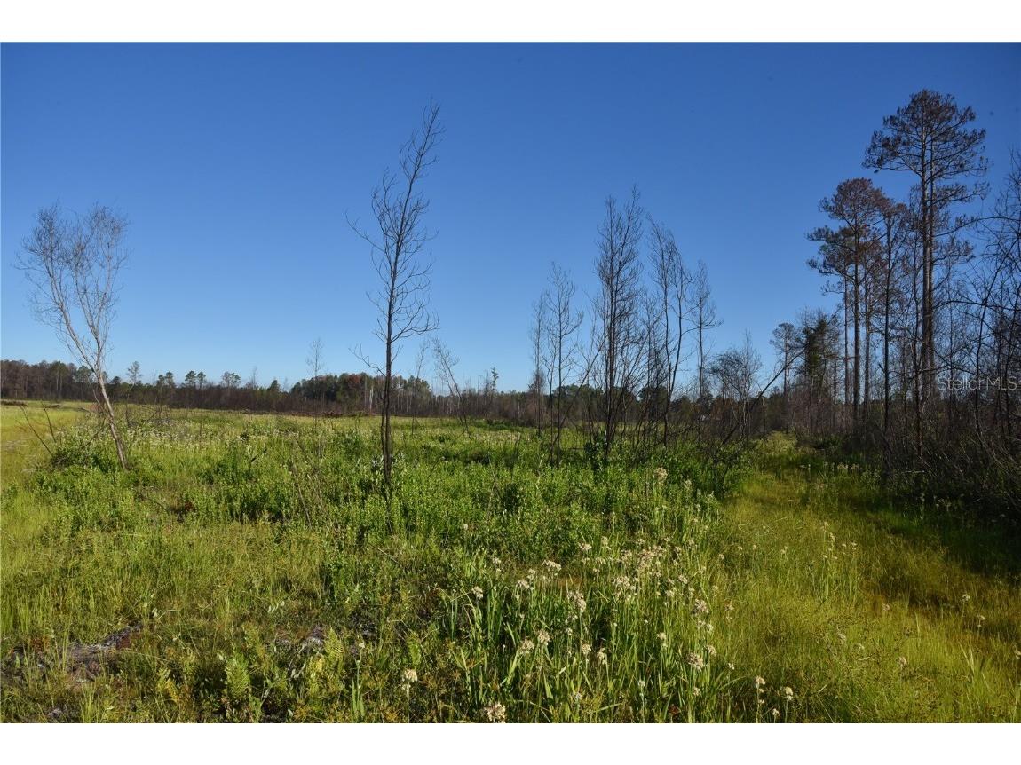 Off Hwy 225 Gainesville FL 32609 OM698253 image24