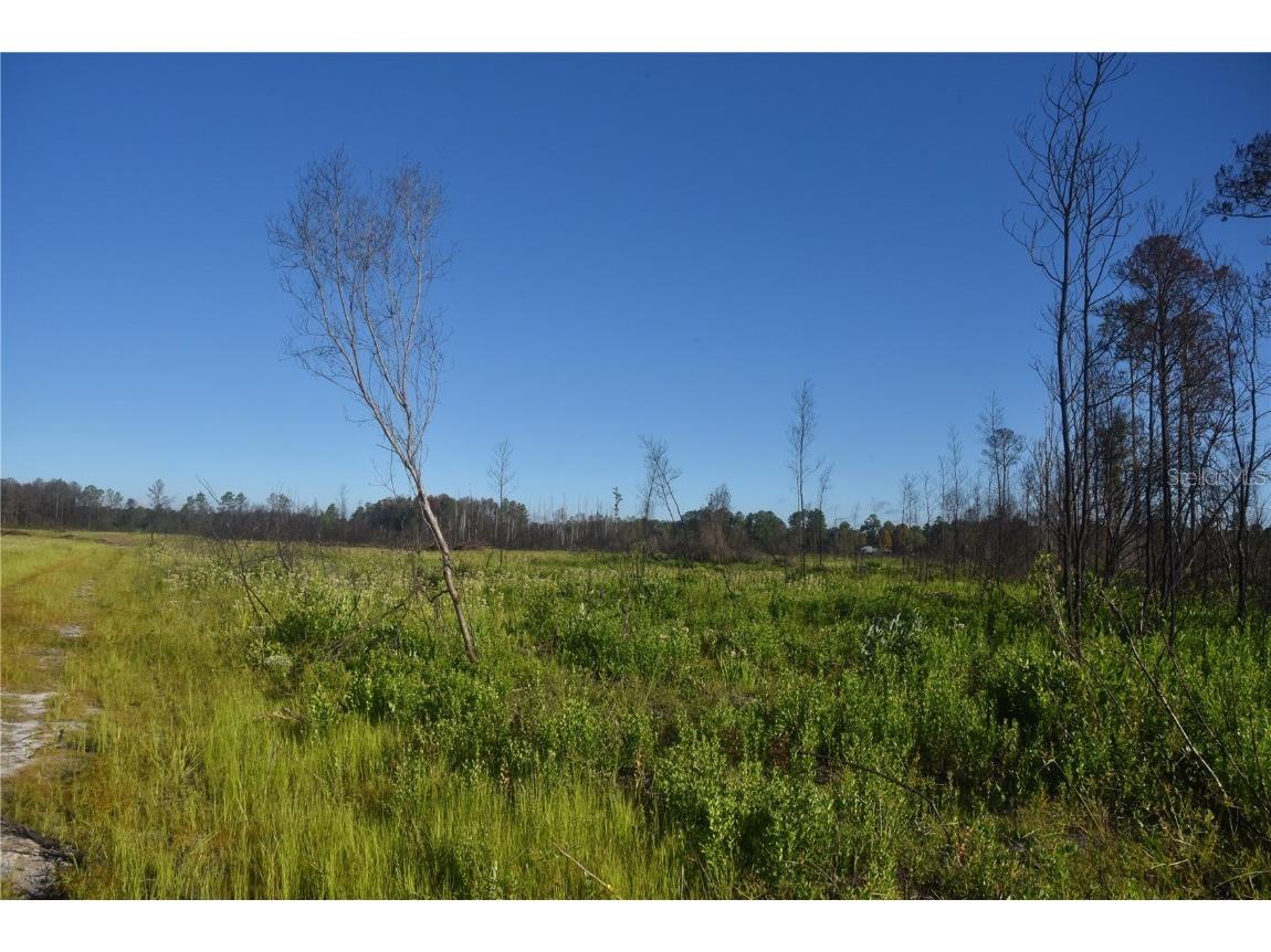 Off Hwy 225 Gainesville FL 32609 OM698253 image25