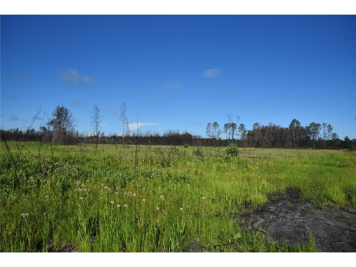 Off Hwy 225 Gainesville FL 32609 OM698253 image26