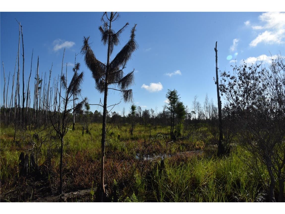 Off Hwy 225 Gainesville FL 32609 OM698253 image30