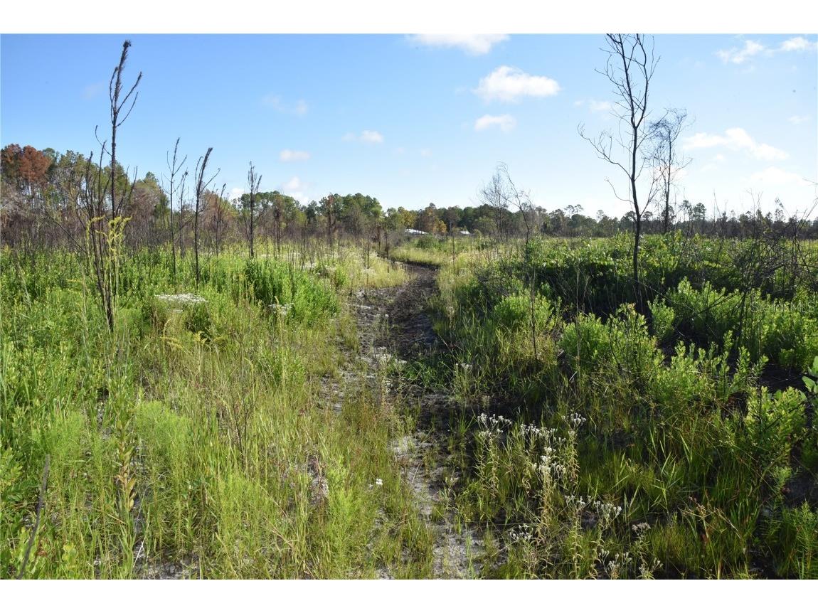 Off Hwy 225 Gainesville FL 32609 OM698253 image32