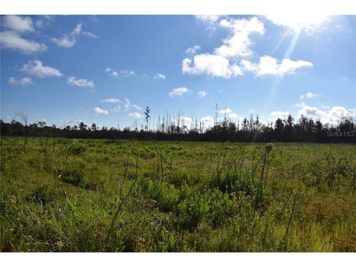 Off Hwy 225 Gainesville FL 32609 OM698253 image33