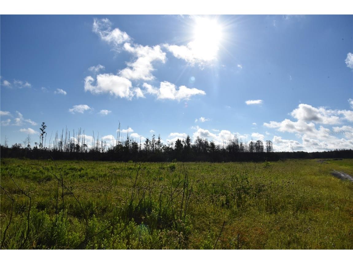 Off Hwy 225 Gainesville FL 32609 OM698253 image34