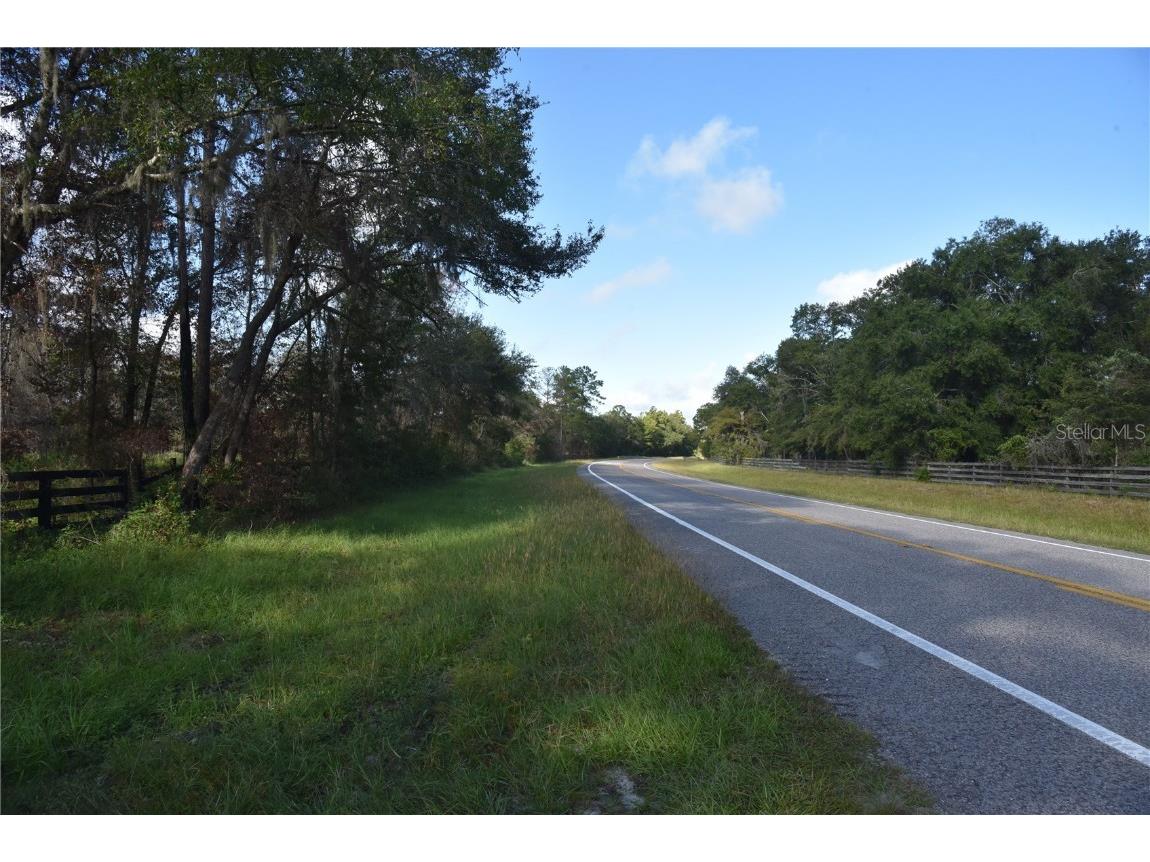 Off Hwy 225 Gainesville FL 32609 OM698253 image4