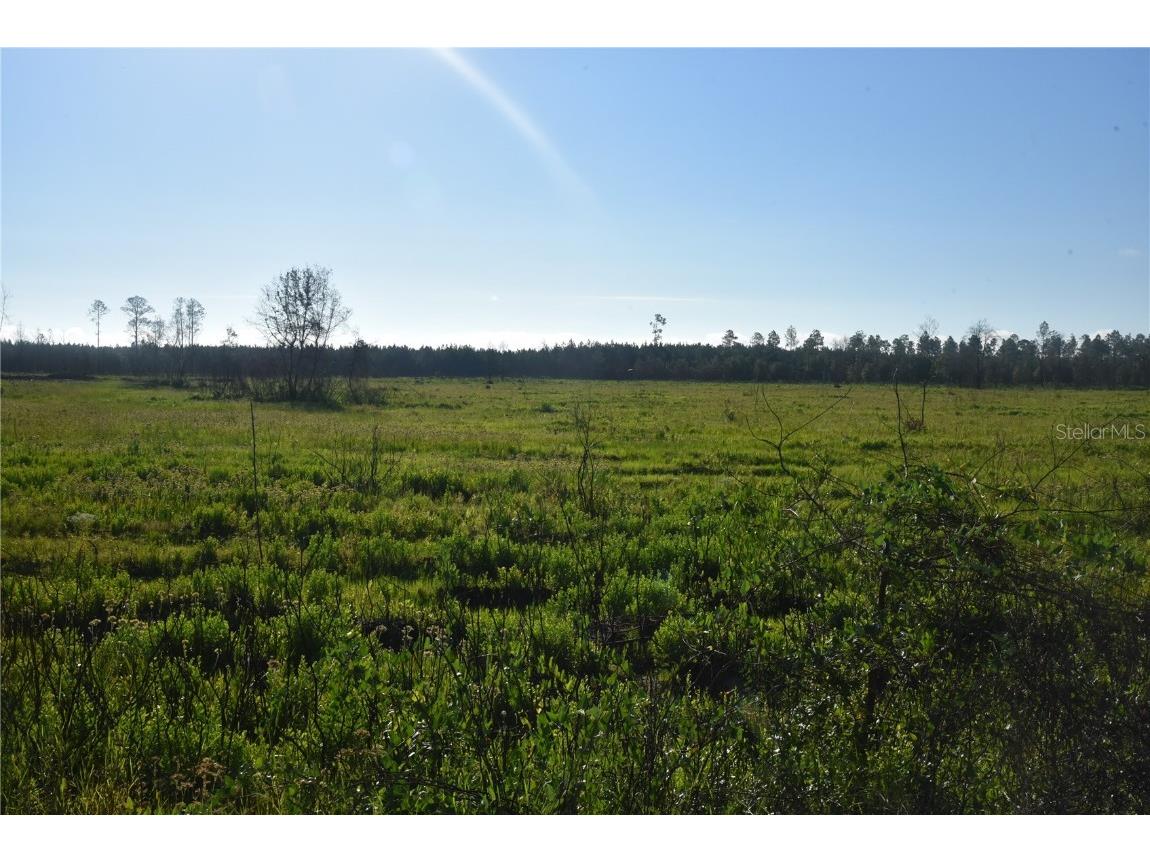 Off Hwy 225 Gainesville FL 32609 OM698253 image7