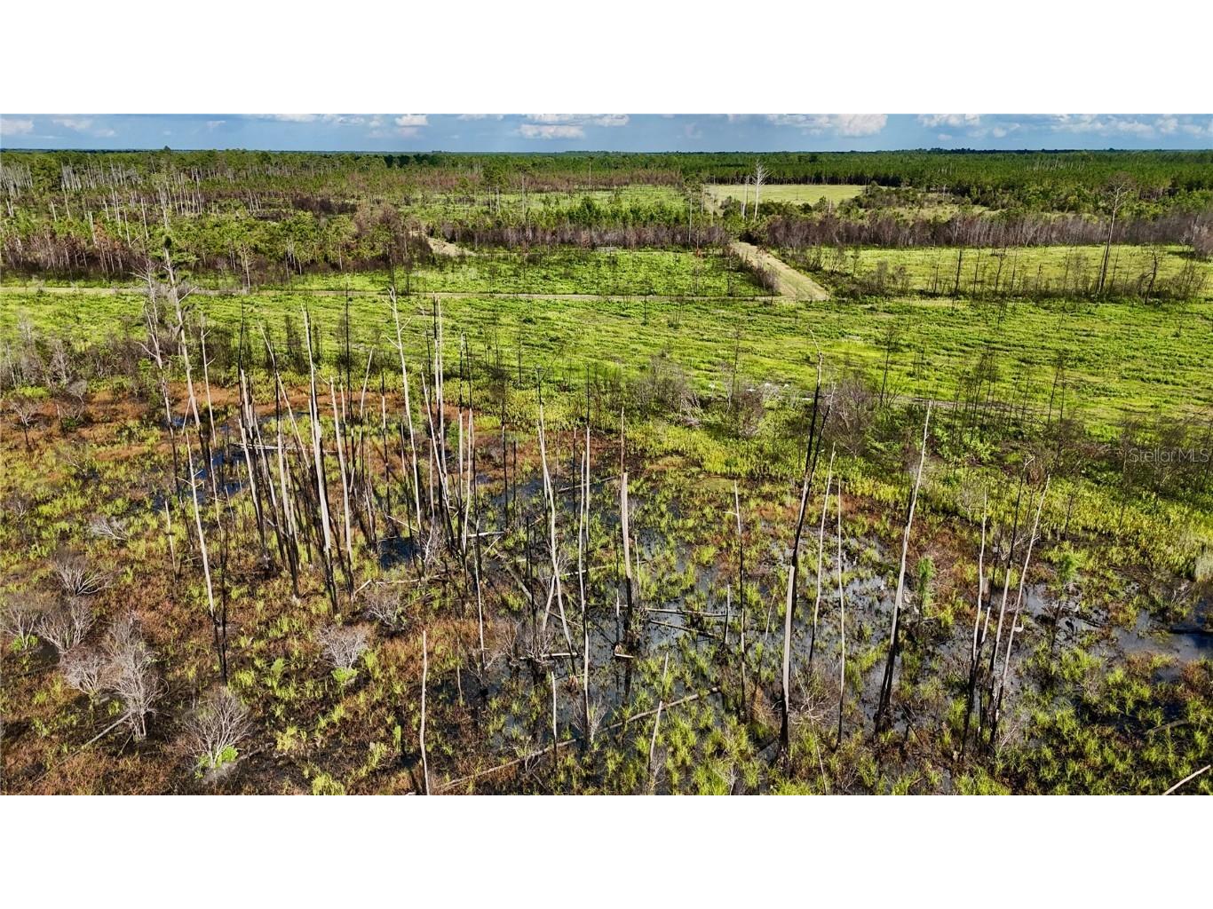 Off Hwy 225 Gainesville FL 32609 OM698253 image8