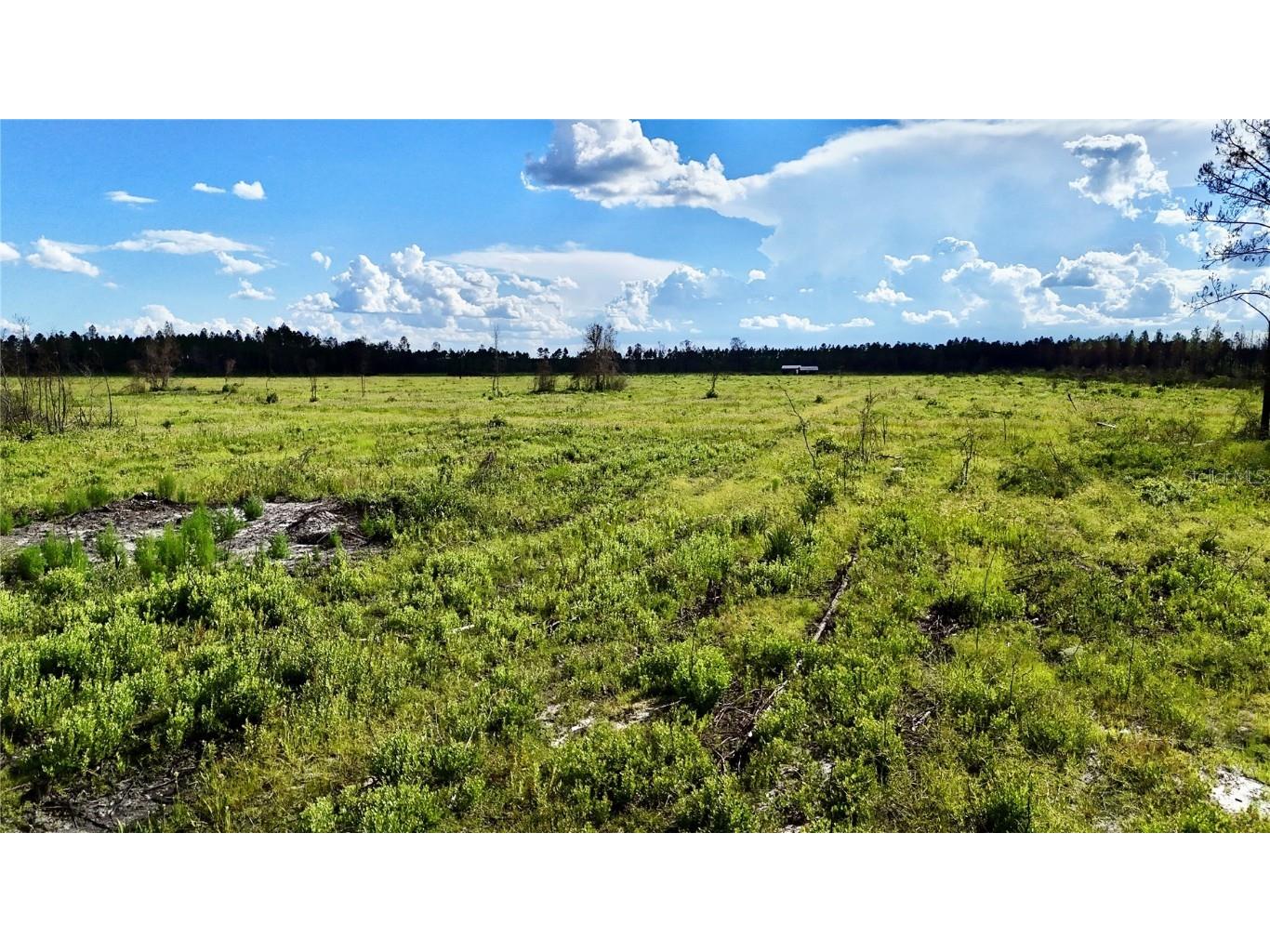 Off Hwy 225 Gainesville FL 32609 OM698253 image9