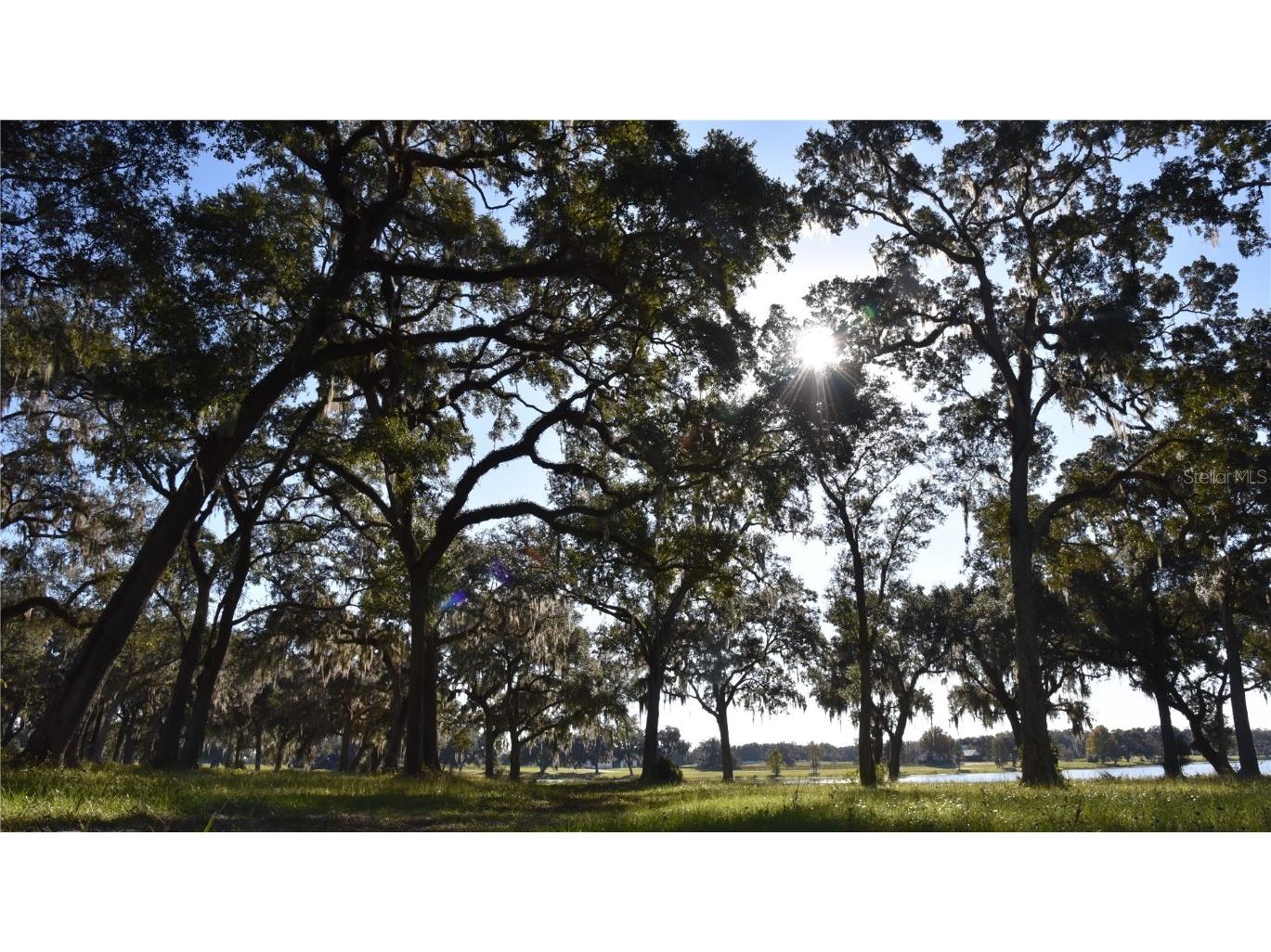 Off Hwy 301 Summerfield FL 34491 OM713548 image1